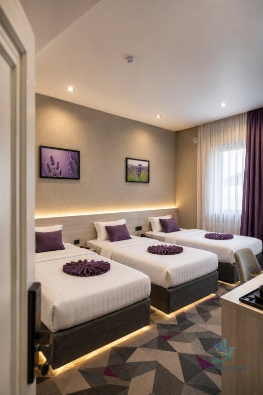 Standart TRIPLE room — photo 1