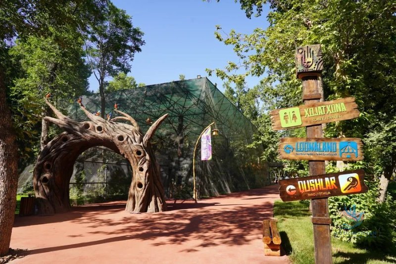 Dive into the Magic of Africa: Magic Safari — Tour, Tashkent